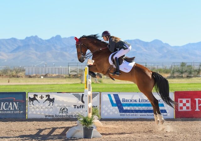 The Importance of Quality Horse Jump Equipment